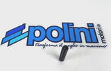 Polini Brake Caliper Adjustment Screw (5X25mm)  *999.750.005